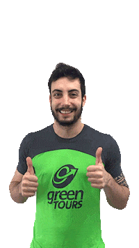 sim yes Sticker by Greentours