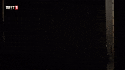Gold Servet GIF by TRT