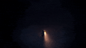 Capybara Games Indie GIF