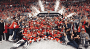 Stanley Cup Playoffs Yes GIF by NHL