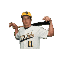Baseball Sticker by WVU Tech Golden Bears