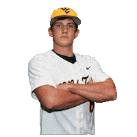 Baseball Sticker by WVU Tech Golden Bears