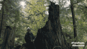 Twin Peaks Bobby GIF by Twin Peaks on Showtime