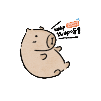 Mimimomo_draw sport cartoon sticker animal Sticker