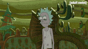 Season 2 Episode 6 GIF by Rick and Morty