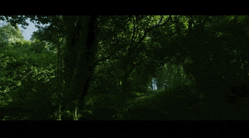 Jumping Mountain Bike GIF by Santa Cruz Bicycles