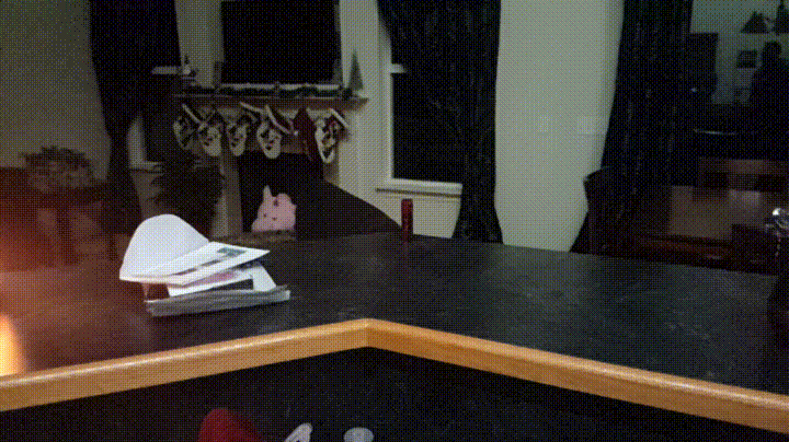 boxer GIF
