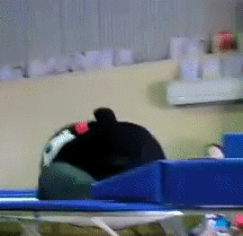 kumamon GIF