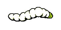 eatrotten bug grub maggot feedyourfreak Sticker