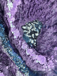 Magic Sparkle GIF by The LSD Hotel