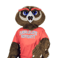 Boca Raton Thinking Sticker by Florida Atlantic University