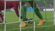 GIF by Giffffr