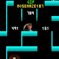 Maze 187 Mose GIF