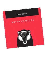 lumiacoffee coffee bobo kuwait haya Sticker
