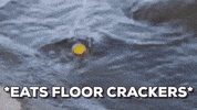 web series comedy GIF by Spook Squad
