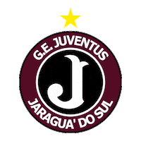 gejuventusjaraguadosul juventus juve jaraguadosul molequetravesso Sticker