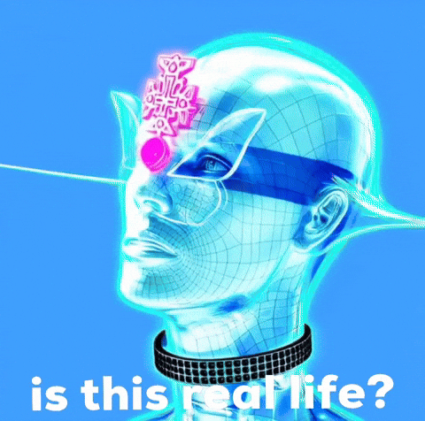 Confused Is This Real Life GIF by The LSD Hotel