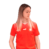 Link Switzerland Sticker by Swiss Football Association