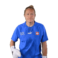 Link Switzerland Sticker by Swiss Football Association