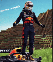 Max Verstappen GIF