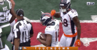 2018 Nfl Football GIF by NFL