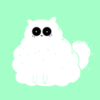 cat rainbow colourful GIF