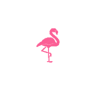 Musica Jaleo Shirts Sticker by Jaleo Artistas