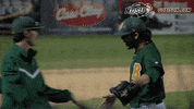 north dakota state baseball GIF by NDSU Athletics