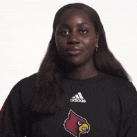 University Of Louisville Swimming GIF by Louisville Cardinals