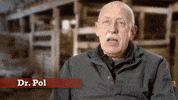 the incredible dr pol GIF by Nat Geo Wild 