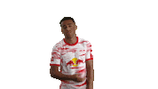 Lets Go Football Sticker by RB Leipzig