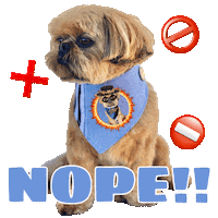 Angry Shih Tzu Sticker by Pimp Yo Pets