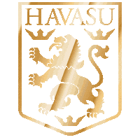 havasulionsfc sports football soccer youth Sticker