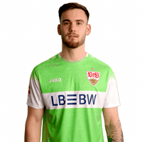 Jako Omg GIF by VfB Stuttgart 1893