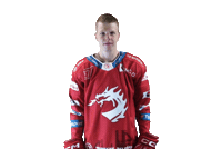 Hockey Haas Sticker by HC Oceláři Třinec