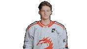 Trinec Sticker by HC Oceláři Třinec