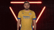 Proud Eintracht Braunschweig GIF by Bundesliga
