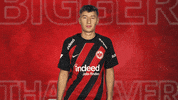 Eintracht Frankfurt GIF by Bundesliga