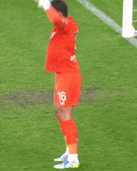 Goalkeeper Keeper GIF by Club Brugge
