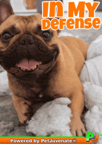 Dog Talk GIF by PetJuvenate - PJ