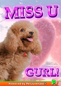 Henlo Hooman Fren GIF by PetJuvenate - PJ