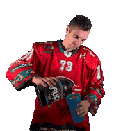 HCORLIZNOJMO 73 orli znojmo orliznojmo Sticker