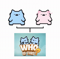 Spainnubcat GIF