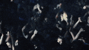 the drop nrg GIF by Bro Safari