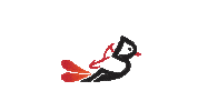 Sticker by MorningBirdMedia