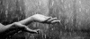 Rain GIF