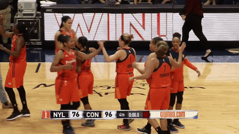 winning We got this GIF by WNBA