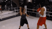 nicole polizzi boxing GIF by The New Celebrity Apprentice