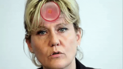 jchristophefederici giphyupload dumb dumber morano GIF