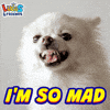 Angry Mad As Hell GIF by Lucas and Friends by RV AppStudios